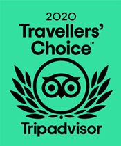 Ladakh Palace - Congrats, you're a 2020. Travellers' Choice Winner